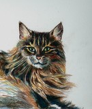 by Anne Kelty