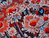 by Ginger Olansen