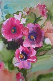 by Sally  Kelly