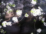 by McKenzie Jacobs