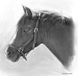 by Greg Joens
