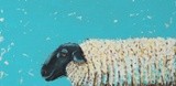 by Lucia Stewart