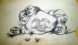 by Karloz camacho