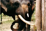 by saagar kambli