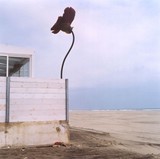 by amelie sourget