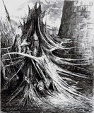 by Andrzej Masianis