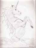 by Brandy Rote