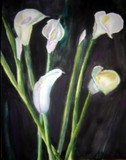 by Annette Beerman