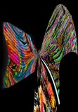 by Barry Huyett