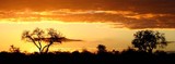 by Marie Strydom