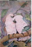 by Suni Godbold