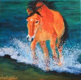 by Wendi Evans