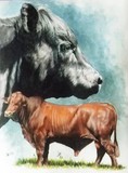 by Barbara Keith