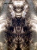 by TOMMY  BEAVER