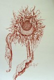by Monique Wiersma-Marinussen