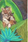 by Amanda Lightsey