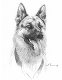 by mike theuer