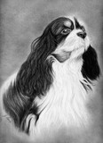 by Gaynor Lewis