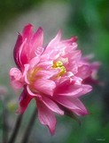 by Bill M