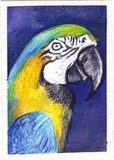 by Ropati Leaso-Cobb