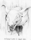 by Danielle McDonough