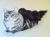 by myra naito