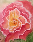 by Bobbin Salisbury