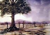 by Steven Cronin
