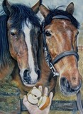 by tracy rice
