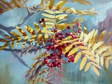 by Diana Davydova