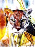 by David Scott