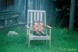 by CM  Sackett