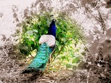 by yatin bhatia