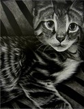 by jessica Gore