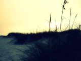 by Tiffany Stackpole