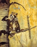 by Hedy Fischer
