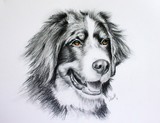 by Zile 