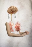 by Florence Iff