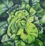 by Schuyler Rideout