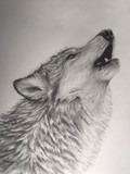by Stacey Makar