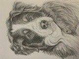 by Stacey Makar