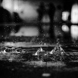 by richard sammour