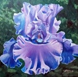 by Diane Howe