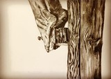 by David Pennington