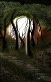 by Yasha