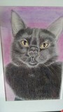by Stella Colhoun