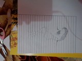 by Alfaz Khan