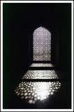 by pallavi malviya