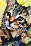 by Richard  OMalley 
