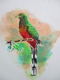 by Abhishek Rammohan